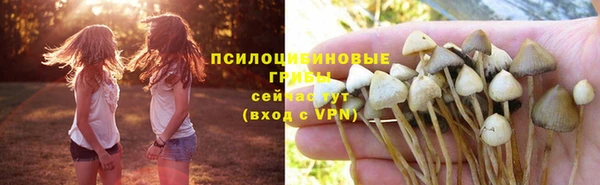 МДПВ Белокуриха